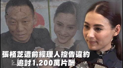 娱乐性吃瓜,揭秘明星们的“吃瓜”大作战 第1张 娱乐性吃瓜,揭秘明星们的“吃瓜”大作战 第1张